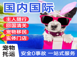 五台山航空物流国际宠物托运 【国